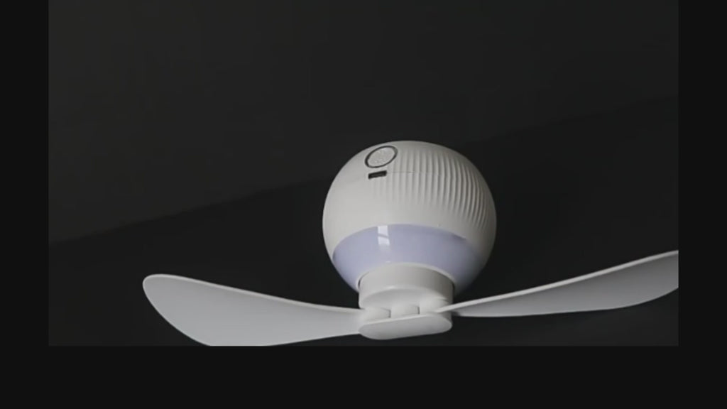 Camping Fan Light