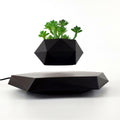 Magnetic Levitating Plant Pot